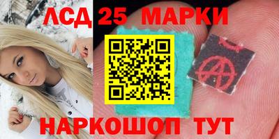 индика Владикавказ