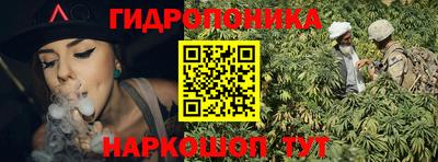 индика Владикавказ