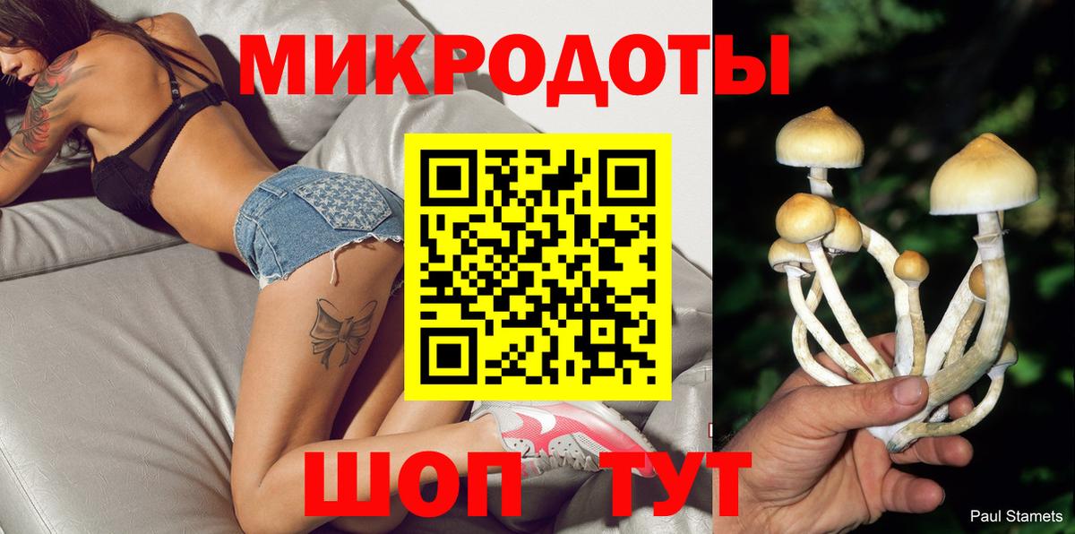 Галлюциногенные грибы Psilocybe  Вход с VPN  Алатырь 